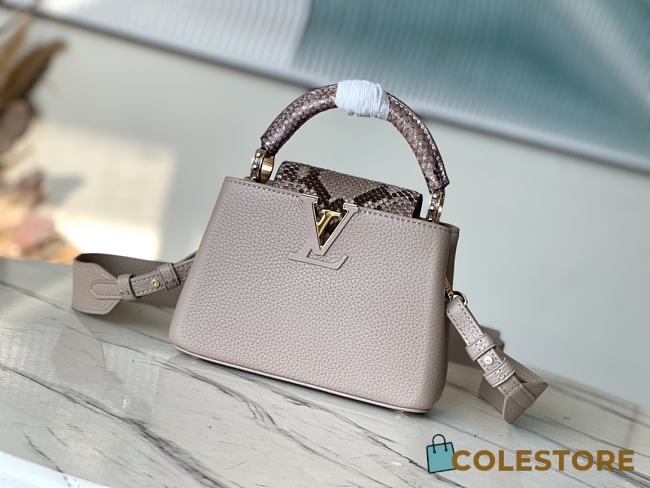 Colestore Louis Vuitton Capucine BB Taurillon Mini Size 21 *14 * 8 cm - 1