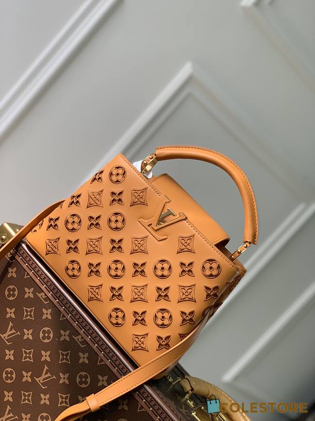 	 Colestore Louis Vuitton Capucine BB M22863 Brown Size 27×18×9cm - 1