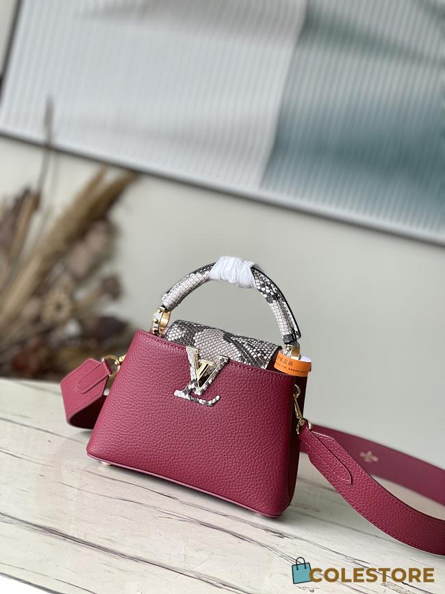 	 Colestore Louis Vuitton Capucine BB Taurillon Plum Mini Size 21 *14 * 8 cm - 1