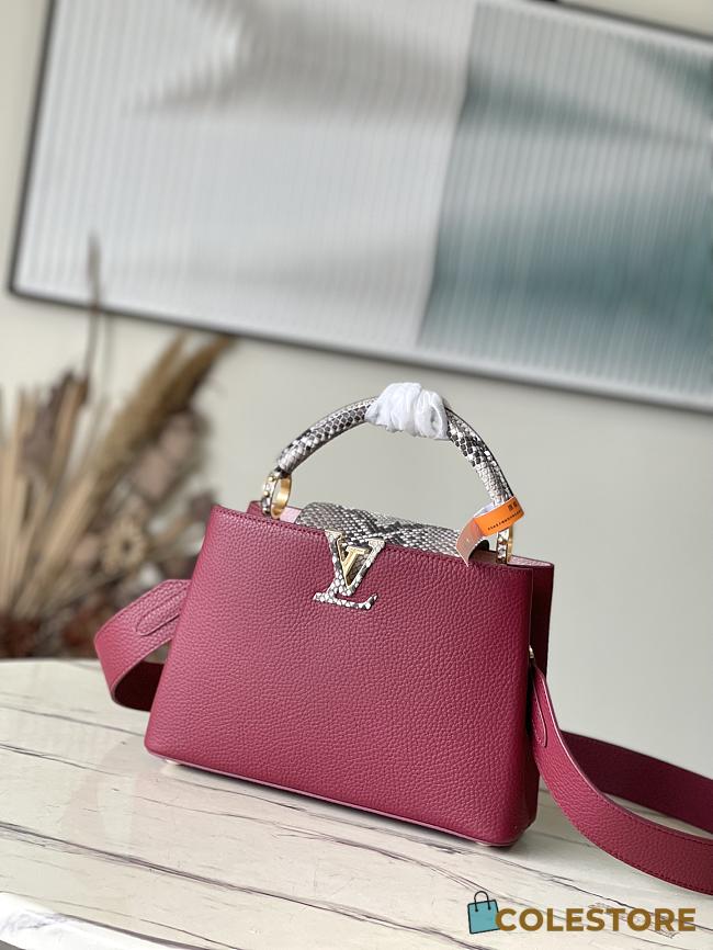 	 Colestore Louis Vuitton Capucine BB Taurillon Plum Size 27 *18 * 9 cm - 1