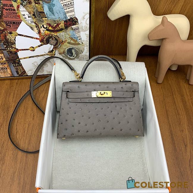 	 Colestore Hermes Mini Kelly Ostrich Grey - 1