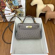 	 Colestore Hermes Mini Kelly Ostrich Grey - 1