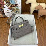	 Colestore Hermes Mini Kelly Ostrich Grey - 2