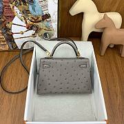 	 Colestore Hermes Mini Kelly Ostrich Grey - 4