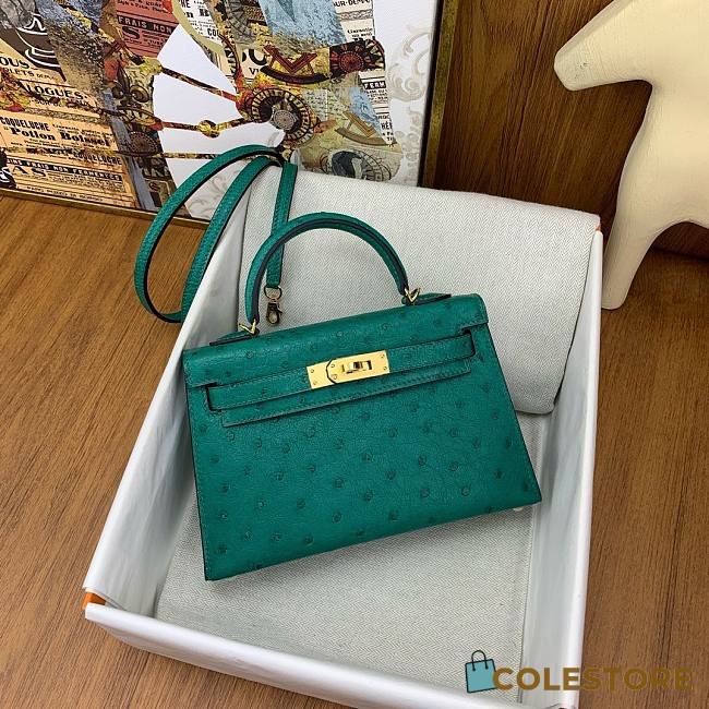 	 Colestore Hermes Mini Kelly Ostrich Green - 1