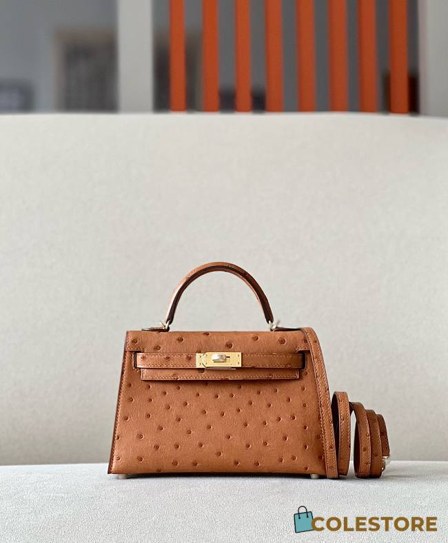 	 Colestore Hermes Mini Kelly Ostrich Brown - 1