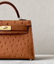 	 Colestore Hermes Mini Kelly Ostrich Brown - 2