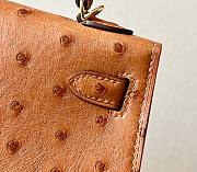 	 Colestore Hermes Mini Kelly Ostrich Brown - 5