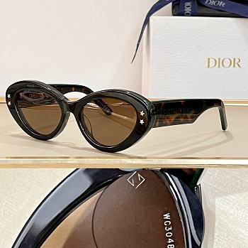 Colestore Dior Sunglasses 