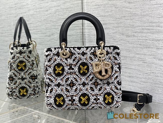 Lady Dior Limited Edition Customized 5 Grid Embroidered Size 24cm - 1