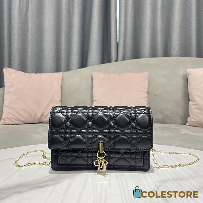 Colestore Miss Dior Chain Pouch Black Cannage Lambskin - 1