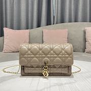 	 Colestore Miss Dior Chain Pouch Beige Cannage Lambskin - 1