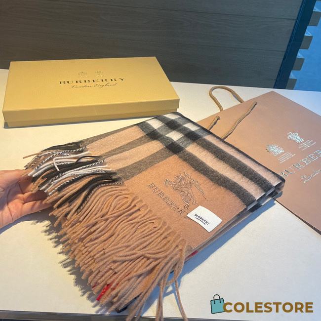 Colestore Burberry Cashmere Scarf Brown - 1
