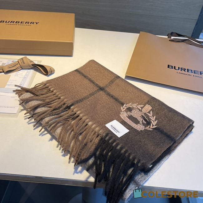 	 Colestore Burberry Cashmere Scarf 01 - 1