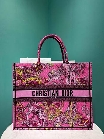 Colestore Dior Pink Multicolor Toile de Jouy Voyage Embroidery Size 42×35×18.5cm