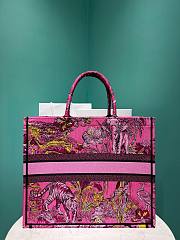 Colestore Dior Pink Multicolor Toile de Jouy Voyage Embroidery Size 42×35×18.5cm - 4