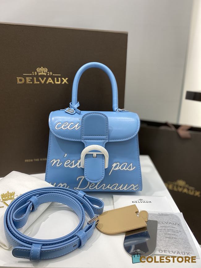 	 Colestore Delvaux Humour Brillant Satchel  - 1