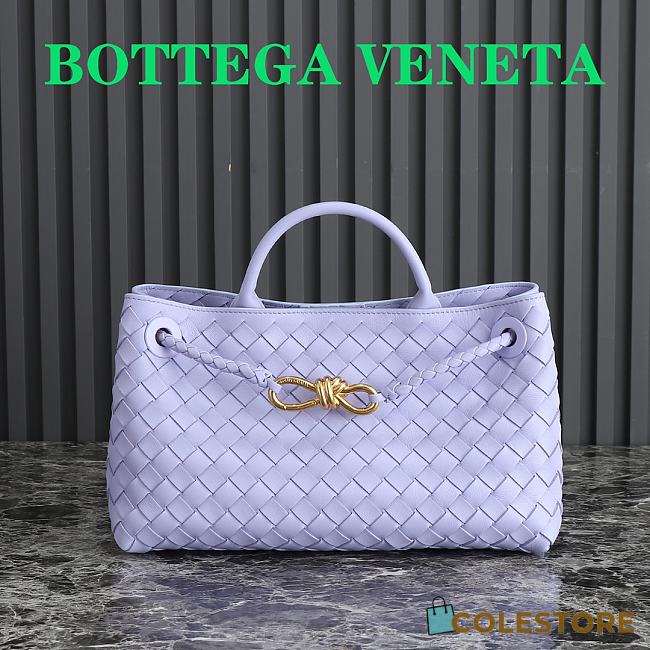Colestore Bottega Veneta Small East/West Andiamo Purple 29×18×10 - 1