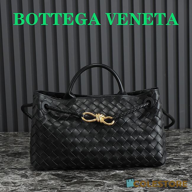 	 Colestore Bottega Veneta Small East/West Andiamo Black 29×18×10 - 1