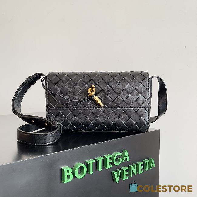 Colestore Bottega Veneta Mini Andiamo Cross-Body Bag 21.5*13*4.5cm - 1