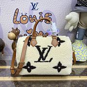 	 Colestore Louis Vuitton Ski Speedy Bandoulière 25 Size 25 x 19 x 15 cm - 1