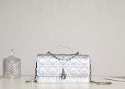 Colestore Miss Dior Mini Bag Cannage Lambskin 21 x 11.5 x 4.5  - 1