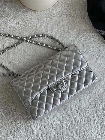 Colestore Chanel Flap Bag Metalic Silver Lambskin 25cm