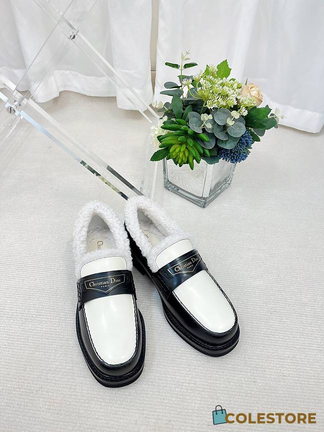 	 Colestore Dior Boy Loafer  - 1