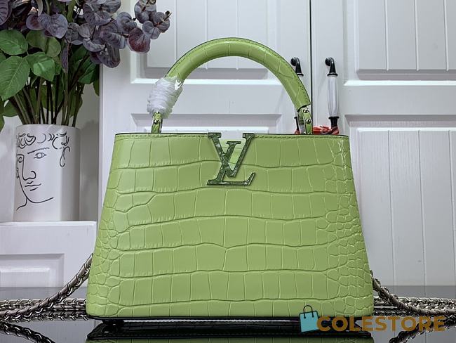 Colestore Louis Vuitton Capucine Mini Crocodile Green Size 21x14x8cm - 1