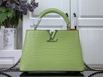 Colestore Louis Vuitton Capucine Mini Crocodile Green Size 21x14x8cm