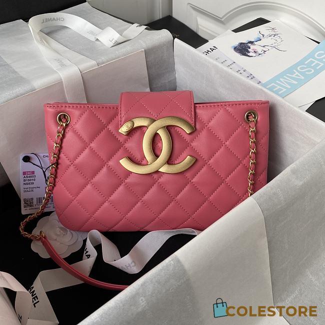 Colestore BAGUETTE BAG Lambskin & Gold-Tone Metal Fuchsia 16.5×26.5×5cm - 1
