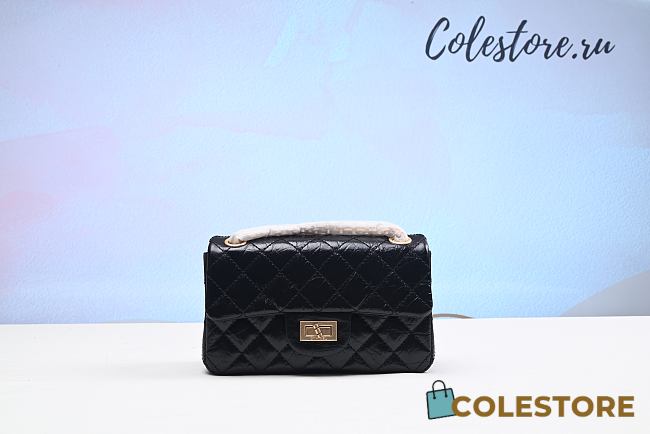 Colestore Chanel 2.55 Crinkle-effect Calfskin & Gold-Tone Metal Size 20× 15 × 6 cm - 1