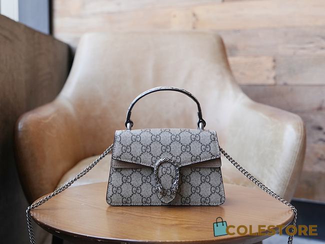 Gucci Dionysus Small Shoulder Bag With Beige Size 18*12*6cm - 1