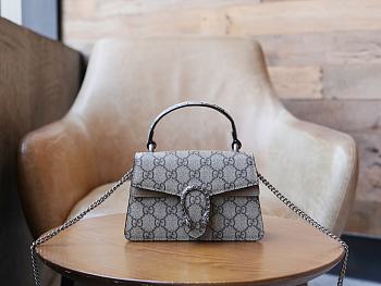 Gucci Dionysus Small Shoulder Bag With Beige Size 18*12*6cm