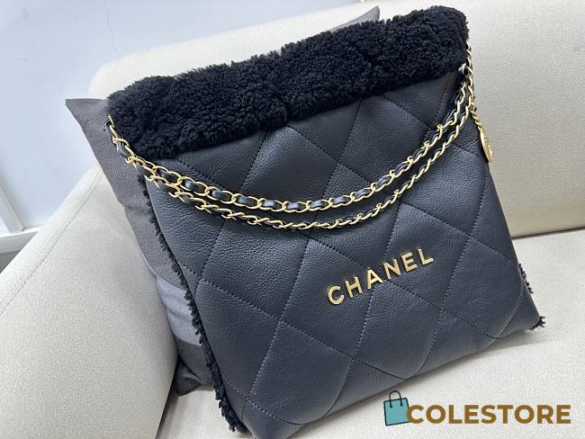 Colestore Chanel 22 Small Bag Shearling Aged Lambskin & Gold-Tone Metal Black - 1