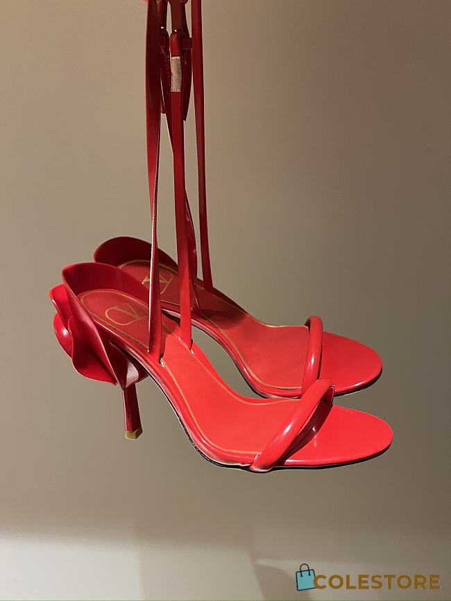 Colestore Valentino Rose Heels 10cm - 1