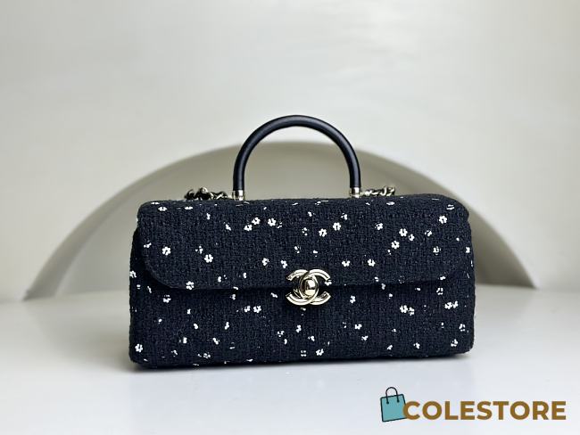 Colestore Chanel Box bag, Tweed, sequins & gold-tone metal, black & white - 1