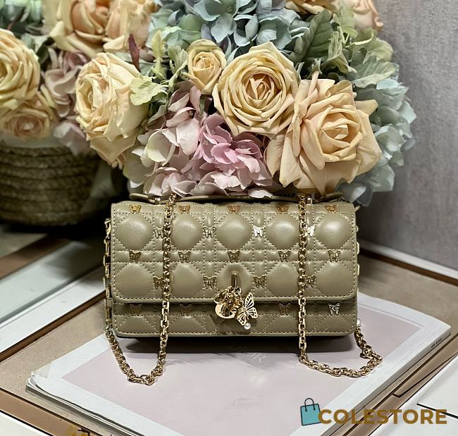 	 Colestore Dior Cannage Butterfly Grey Size 21 x 11.5 x 4.5cm - 1