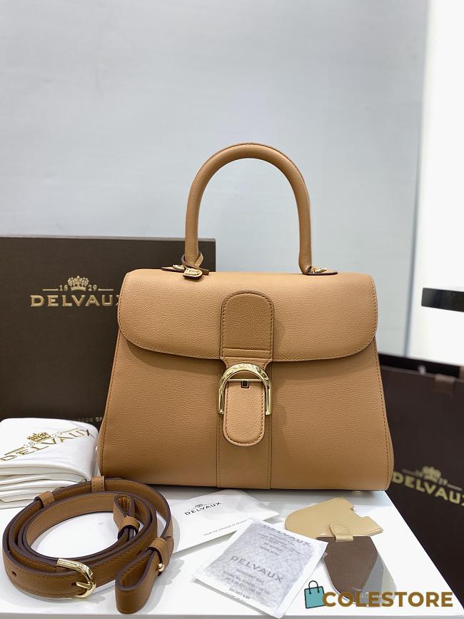 Colestore Delvauz Brillant Togo Brown 28*13.5*22.5 - 1
