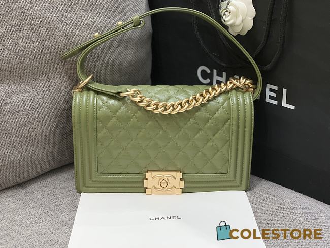 	 Colestore Chanel Leboy Green Gold Hardware Size 25cm - 1