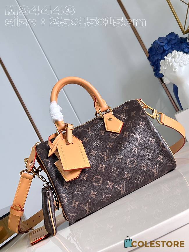 Colestore Louis Vuitton Speedy P9 Bandoulière 25 Brown M24443 - 1