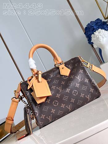 Colestore Louis Vuitton Speedy P9 Bandoulière 25 Brown M24443