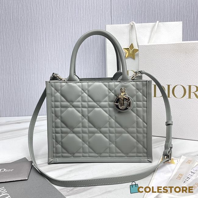 Colestore Small Dior Book Tote Grey Calfskin 26.5 x21 x14cm - 1