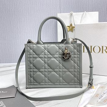 Colestore Small Dior Book Tote Grey Calfskin 26.5 x21 x14cm