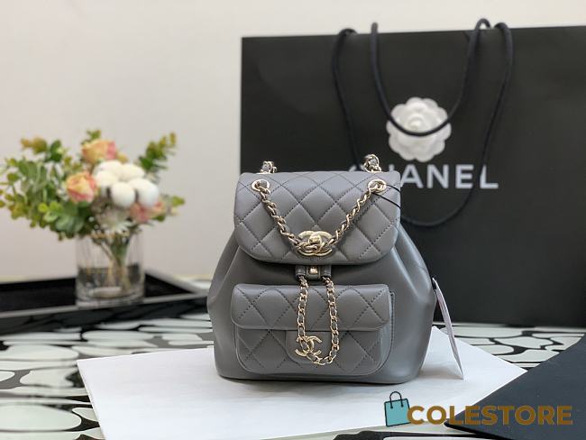 Colestore Chanel Backpack Duma Grey Lambskin Mini Size 18 × 18 × 12 cm - 1