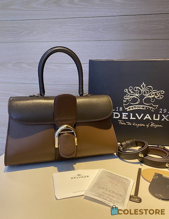 Colestore Delvauz Brillant Box Brown 28x12x16cm - 1