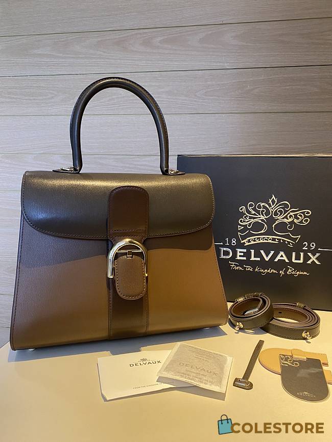 	 Colestore Delvauz Brillant Brown 28*13.5*22.5 - 1