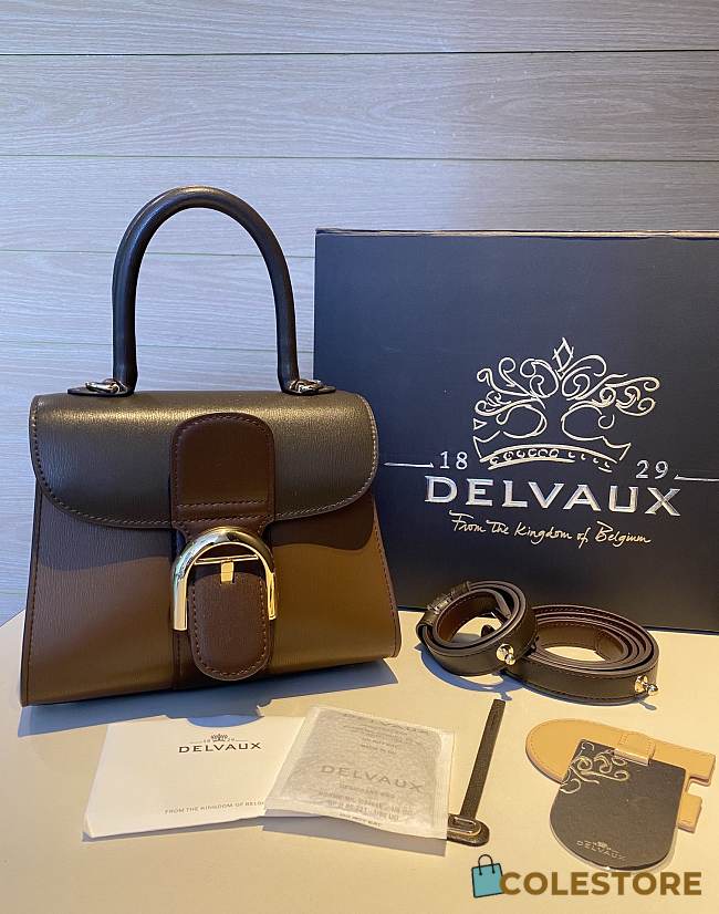 	 Colestore Delvauz Brillant Box Brown 20x12x15.5cm - 1