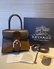 	 Colestore Delvauz Brillant Box Brown 20x12x15.5cm - 1