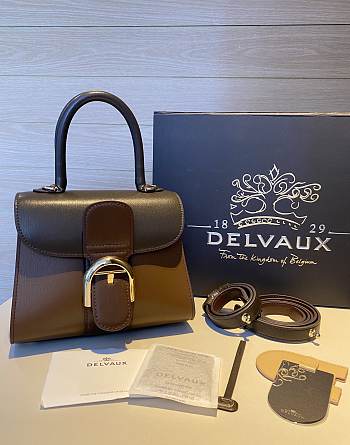 	 Colestore Delvauz Brillant Box Brown 20x12x15.5cm